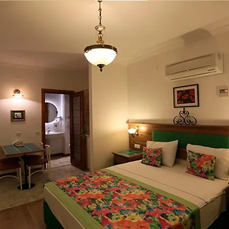 فندق Kerme Ottoman Gokova 3*